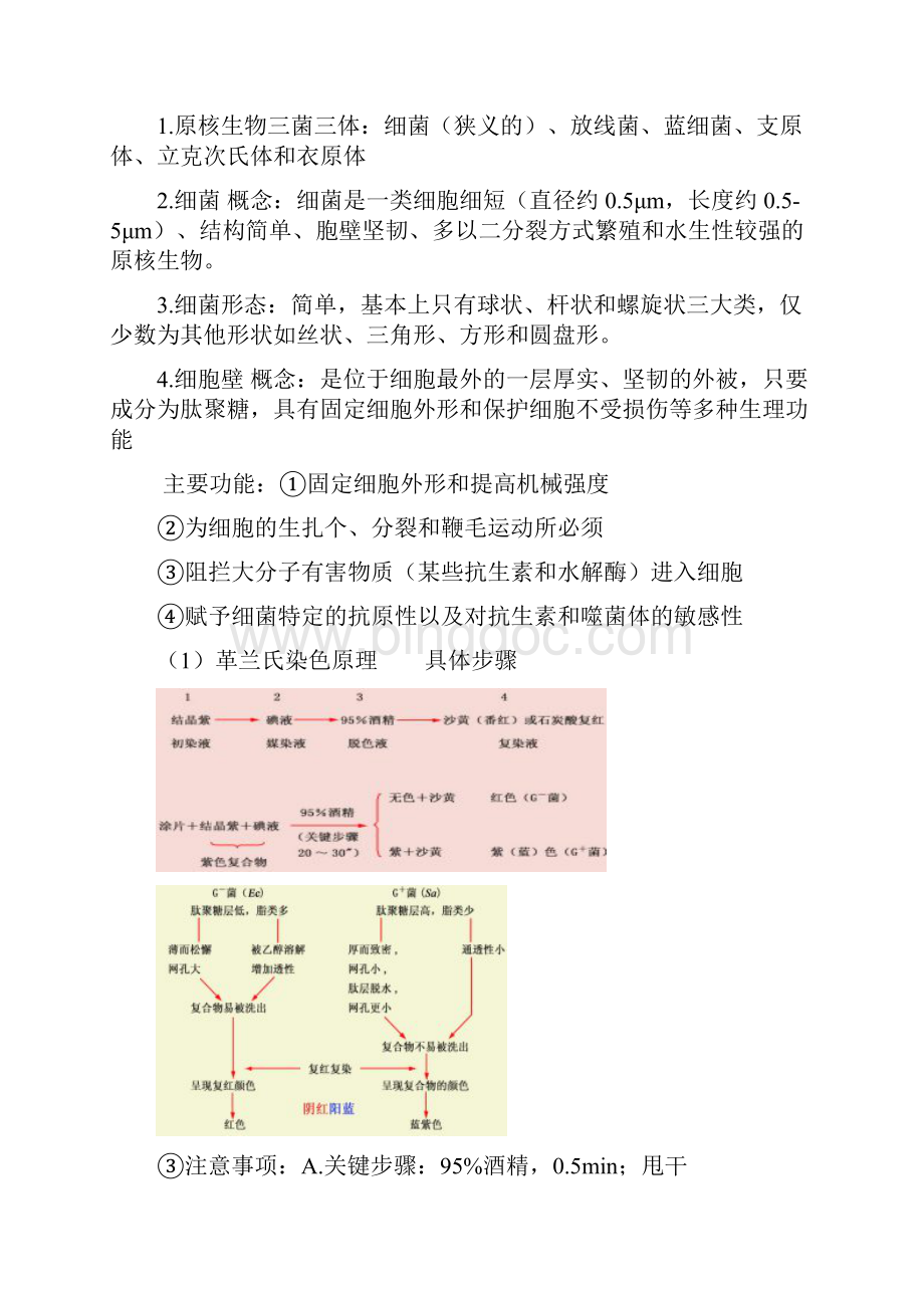 微生物重点复习资料微生物学教程周德庆Word下载.docx_第2页