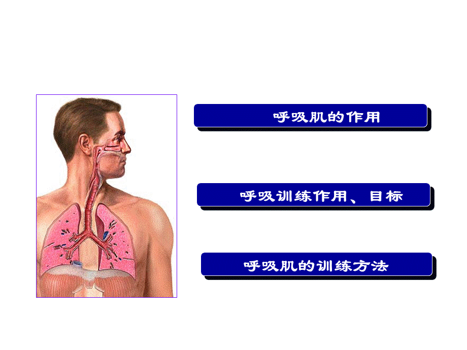 肺功能康复PPT格式课件下载.pptx_第2页