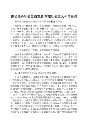 推动经济社会全面发展 构建社会主义和谐张沟Word文档格式.docx