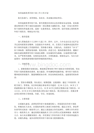 培养选拔优秀年轻干部三年工作计划Word文档下载推荐.docx