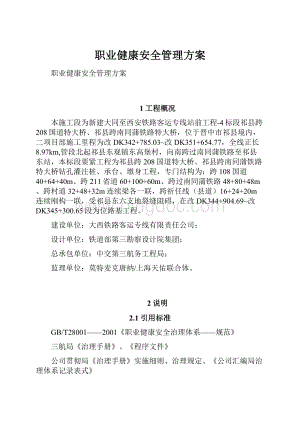 职业健康安全管理方案.docx