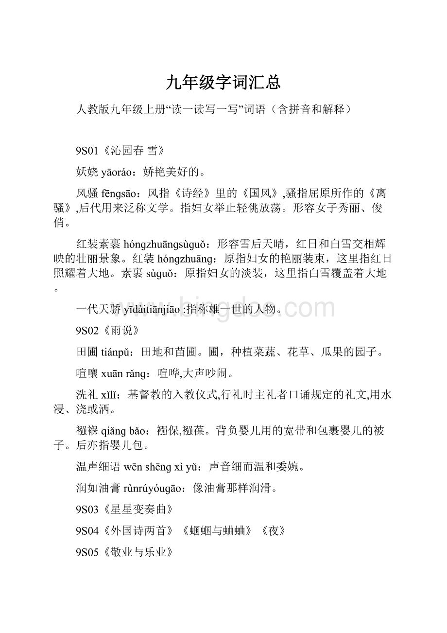 九年级字词汇总Word格式文档下载.docx