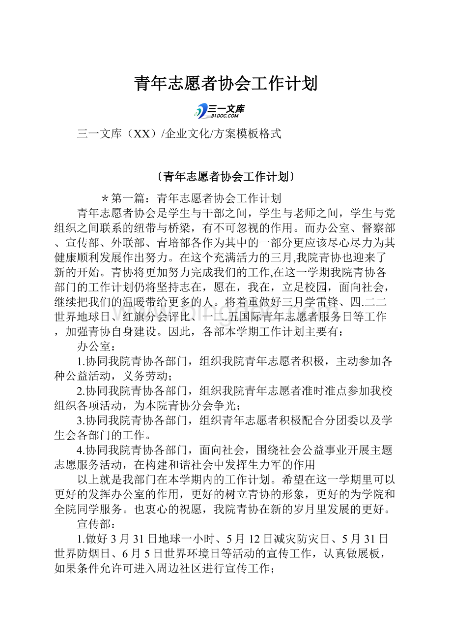 青年志愿者协会工作计划.docx