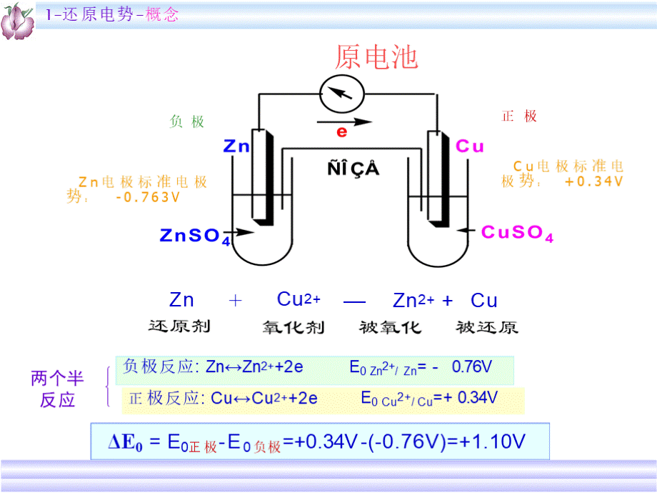 第二讲生物氧化（电子传递与氧化磷酸化）.pptx_第3页