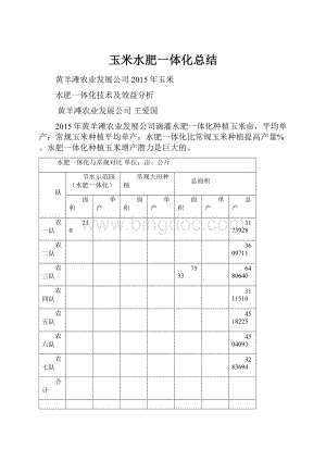 玉米水肥一体化总结.docx