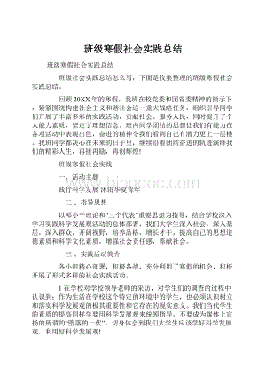 班级寒假社会实践总结.docx