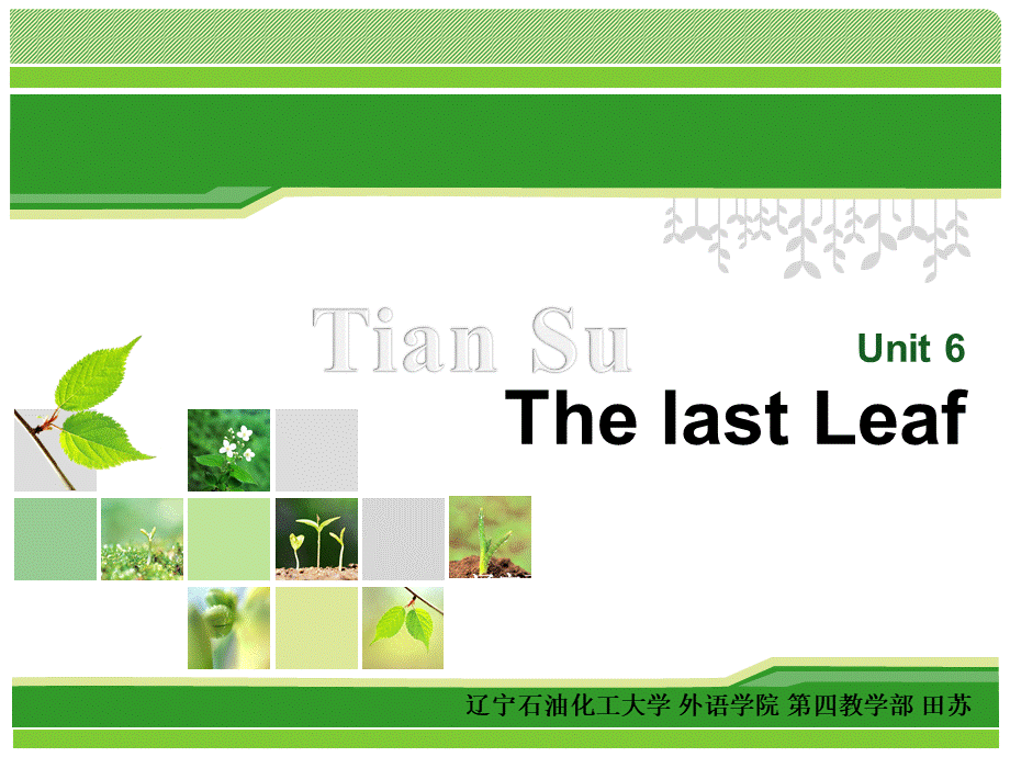 全新版大学英语第三册unit-6-The-last-leaf.ppt