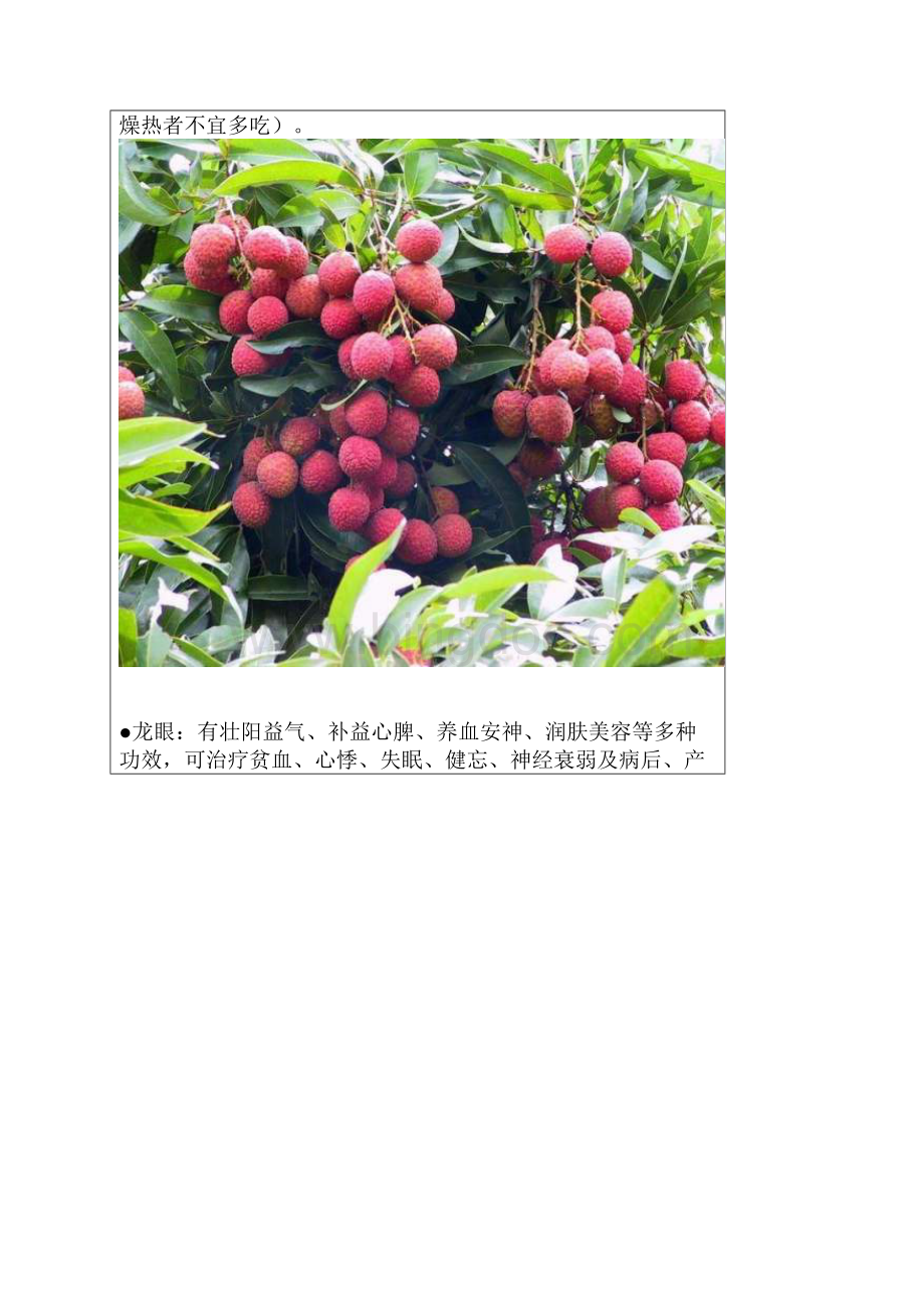 各种水果的药理功能.docx_第3页