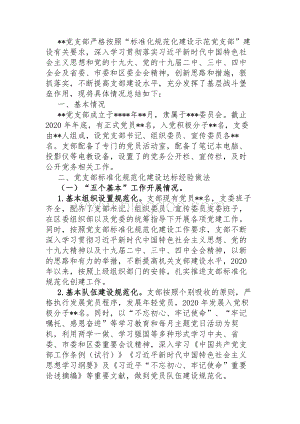 党支部年度标准化规范化建设工作总结文档格式.docx