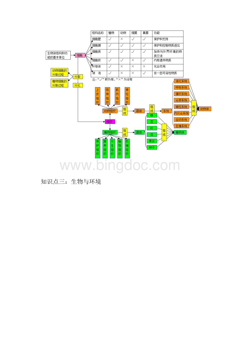 初中生物知识点梳理思维导图Word格式.docx_第2页