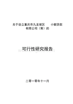 成立重庆小额贷款公司可行性报告（最新整理By阿拉蕾）.docx