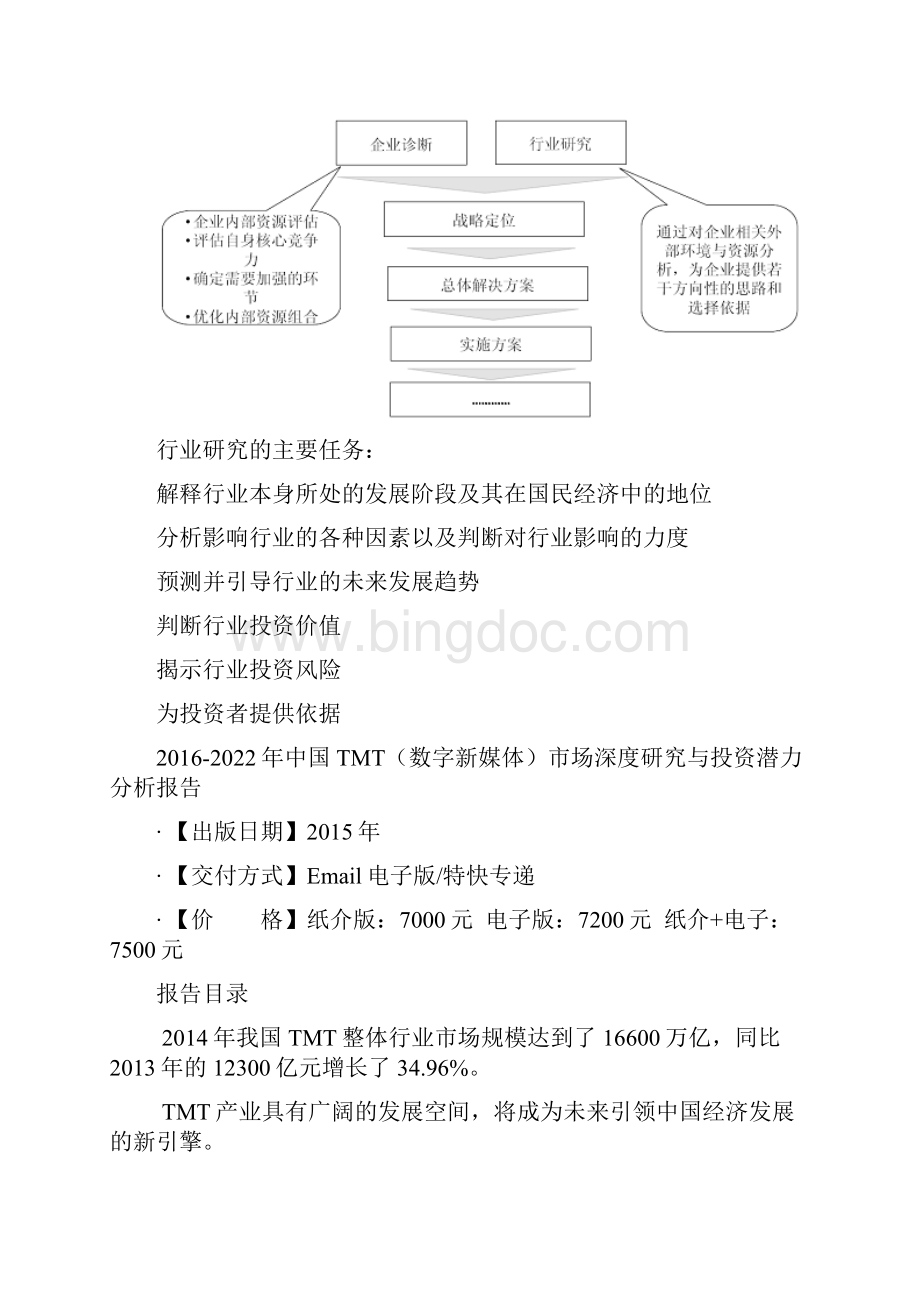 中国TMT数字新媒体市场深度研究与投资潜力分析报告.docx_第3页