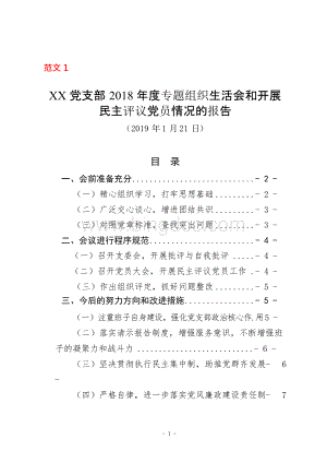 党支部通用民主 生活会专题组织生活会和开展民主评议党员情况报告工作汇报总结材料党政机关和国有企业公司通用版范文2篇Word文件下载.docx