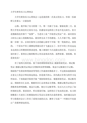 大学生财务实习心得体会Word文档格式.docx