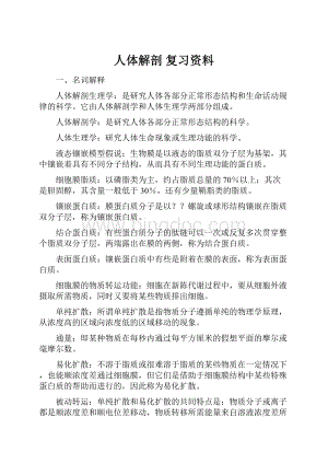 人体解剖 复习资料文档格式.docx