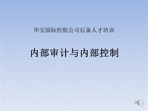 内部审计与内部控制.ppt