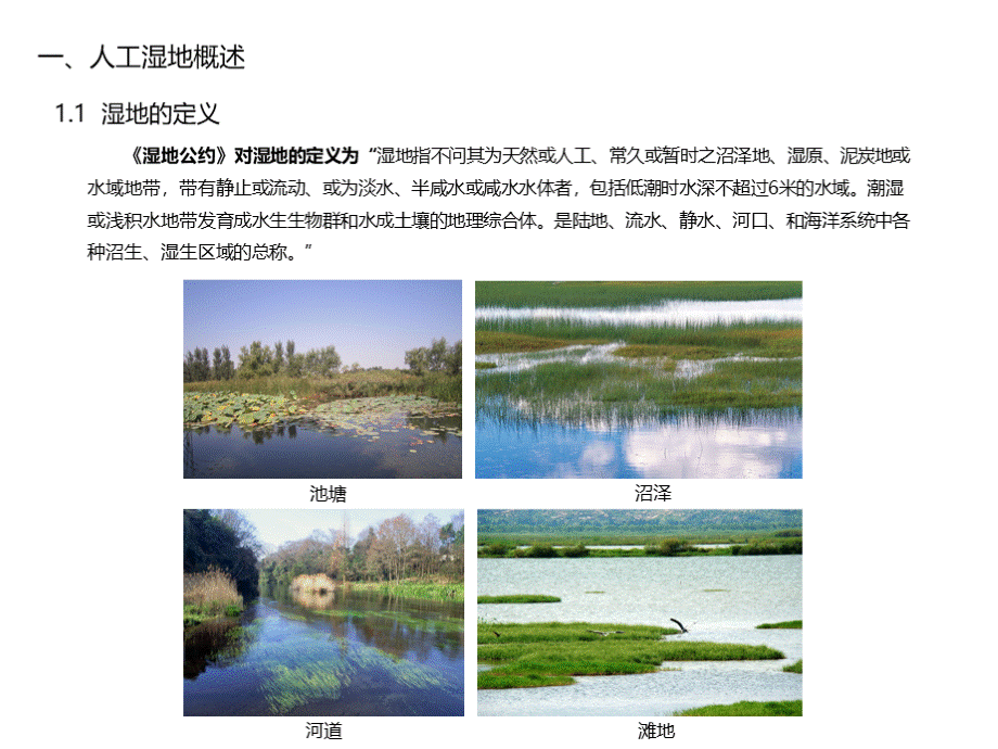 人工湿地污水处理设计.pptx_第3页