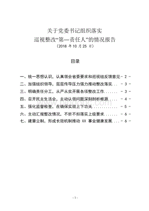 最新关于党委书记组织落实巡视(巡察)整改“第一责任人”的情况报告(通用版报告)文档格式.docx