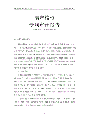 清产核资专项审计报告模板文档格式.docx