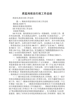 质监局依法行政工作总结.docx