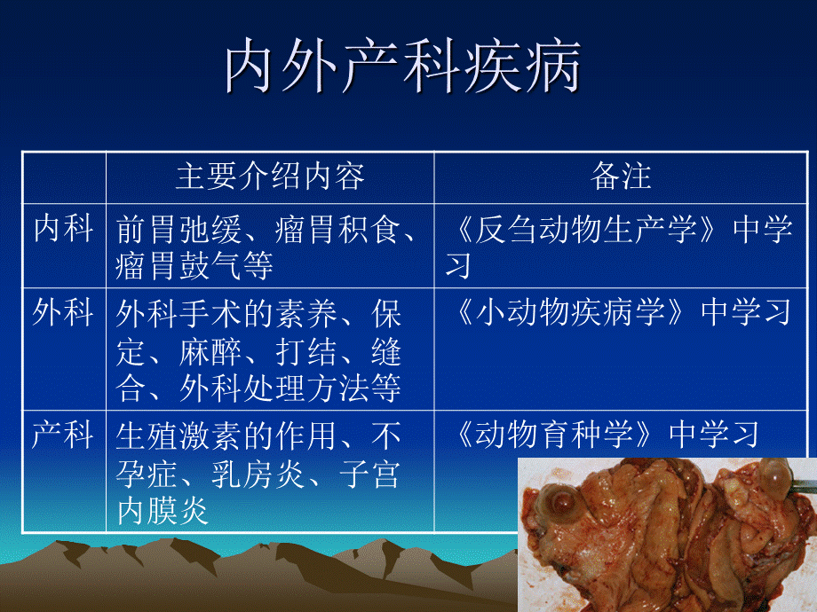 内外产科疾病-兽医学概论(动物科学专业使用).ppt_第2页