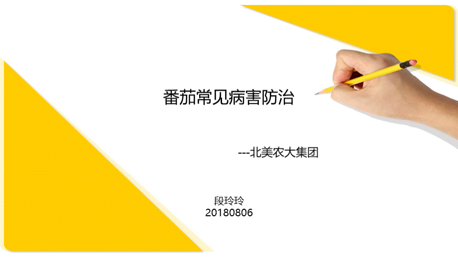 番茄病害常见病害防治.ppt_第1页