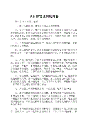 项目部管理制度内容.docx