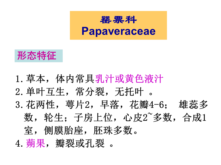 罂粟科ppt课件.ppt