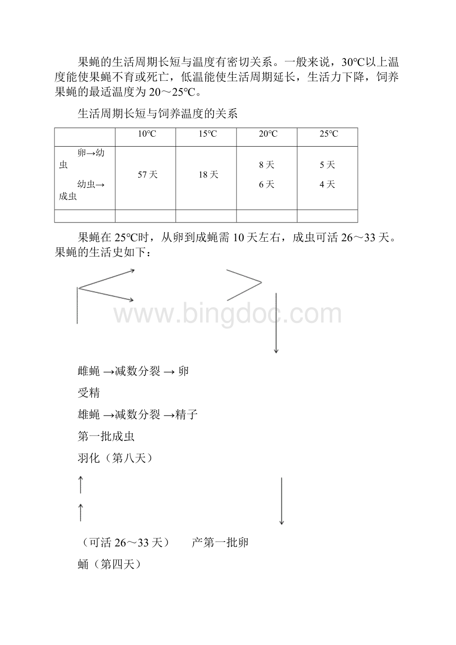 果蝇杂交实验实验报告.docx_第2页