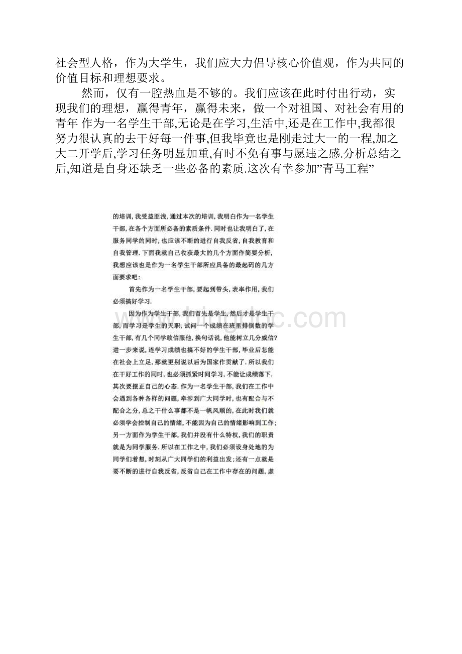 XX年湖南青马社会实践报告Word格式.docx_第2页