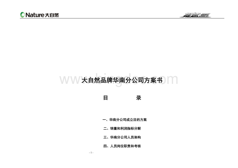 华南分公司方案书文档格式.doc_第1页