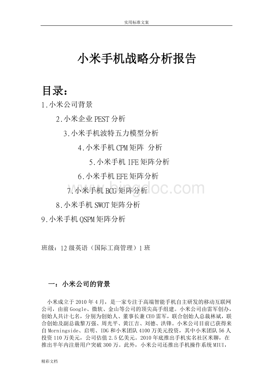 小米企业战略分析地报告文档格式.doc_第1页