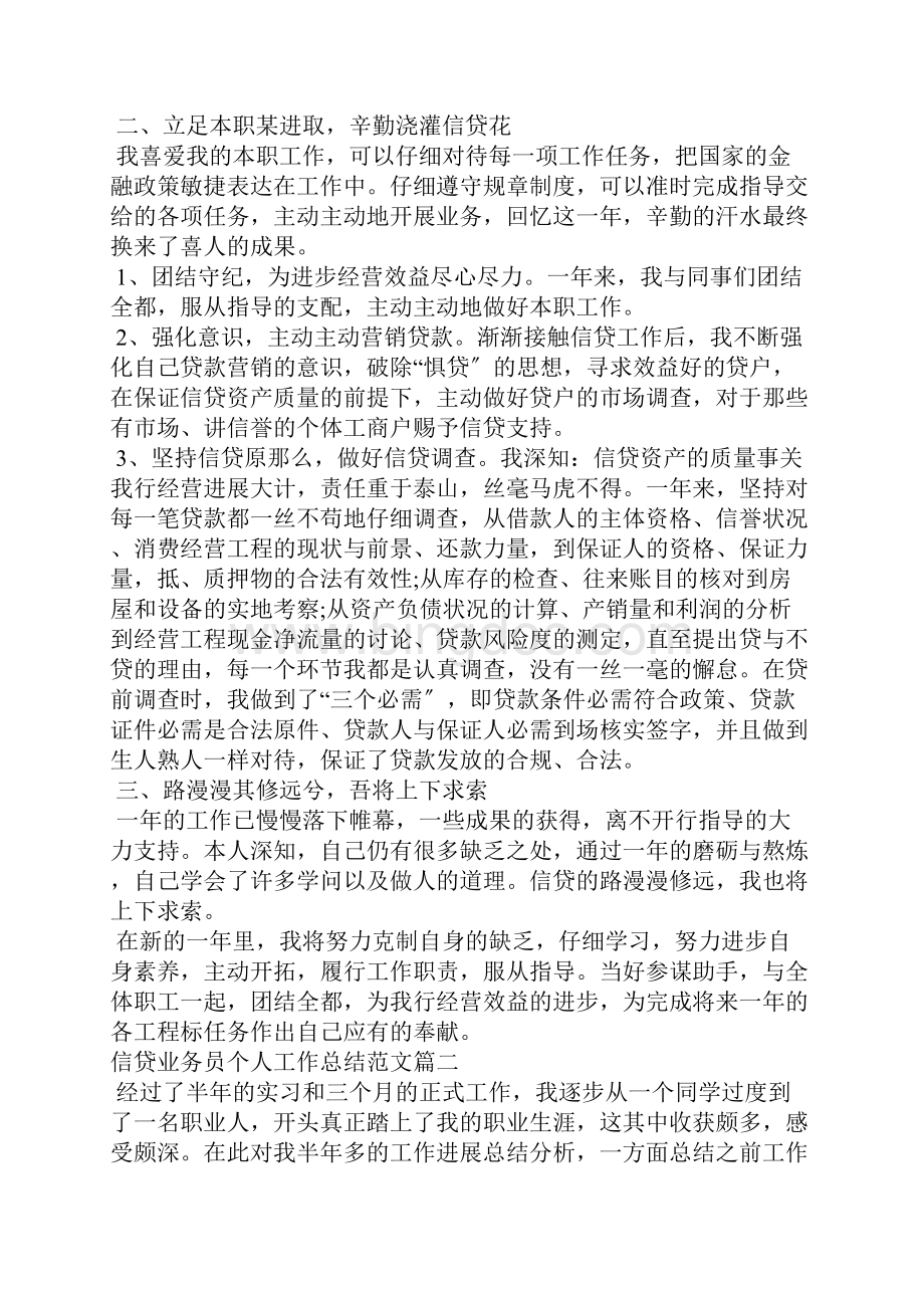 信贷业务员个人工作总结及计划精选.docx_第2页