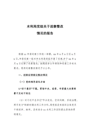 水利局党组关于巡察整改情况的报告.docx