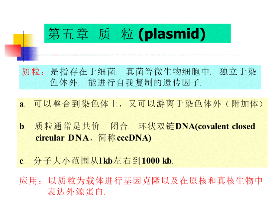 质粒的复制复制子.pptx_第1页