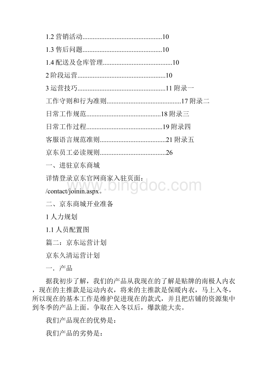 京东运营计划表文档格式.docx_第2页