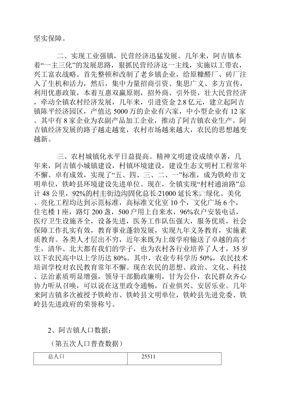 铁岭阿吉镇项目营销策划报告.docx_第2页