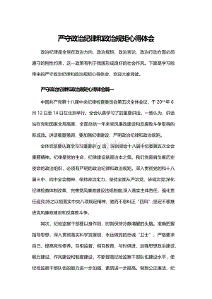 严守政治纪律和政治规矩心得体会.docx