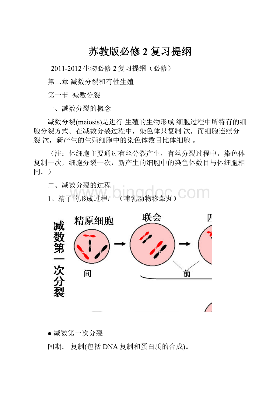 苏教版必修2复习提纲Word文档下载推荐.docx_第1页