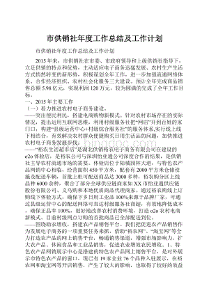 市供销社年度工作总结及工作计划.docx