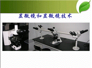 显微镜和显微镜技术 PPT.pptx