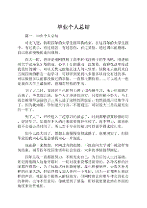 毕业个人总结文档格式.docx