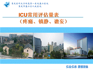 ICU常用评估工具(疼痛、镇静、谵妄)(徐智会).ppt