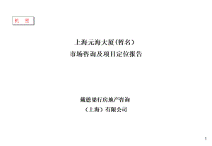 商业地产戴德梁行－上海某写字楼市场咨询及项目定位报告197页.ppt