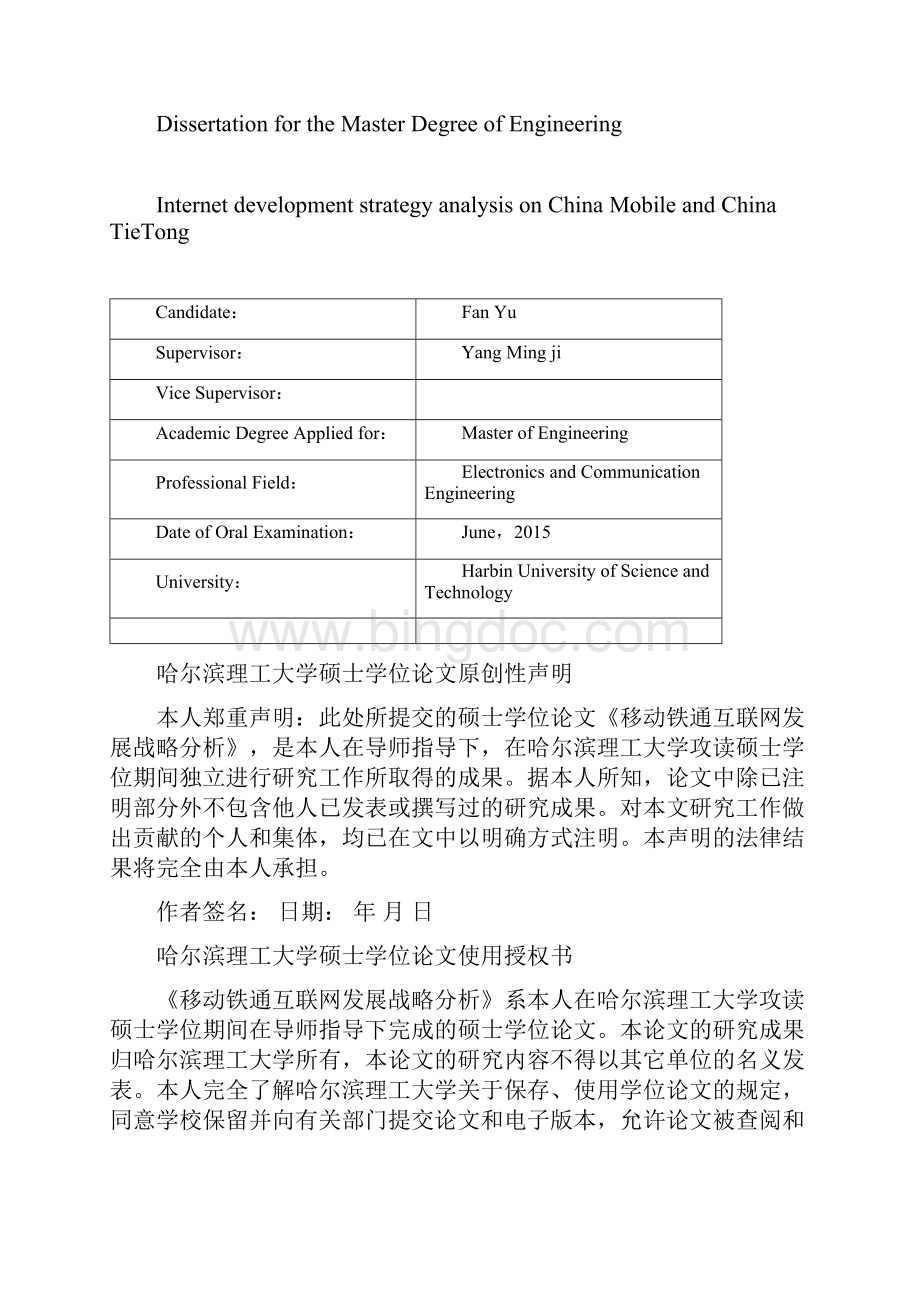 移动铁通互联网发展战略分析.docx_第2页