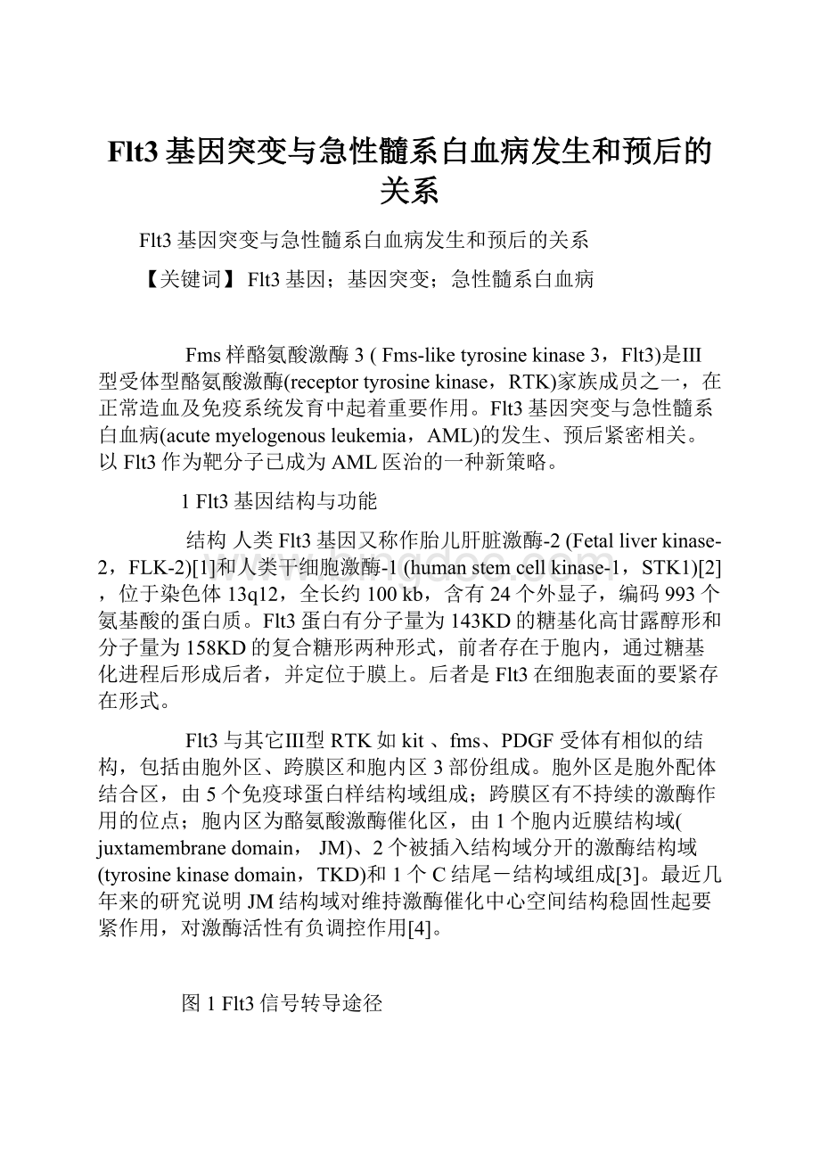 Flt3基因突变与急性髓系白血病发生和预后的关系.docx_第1页