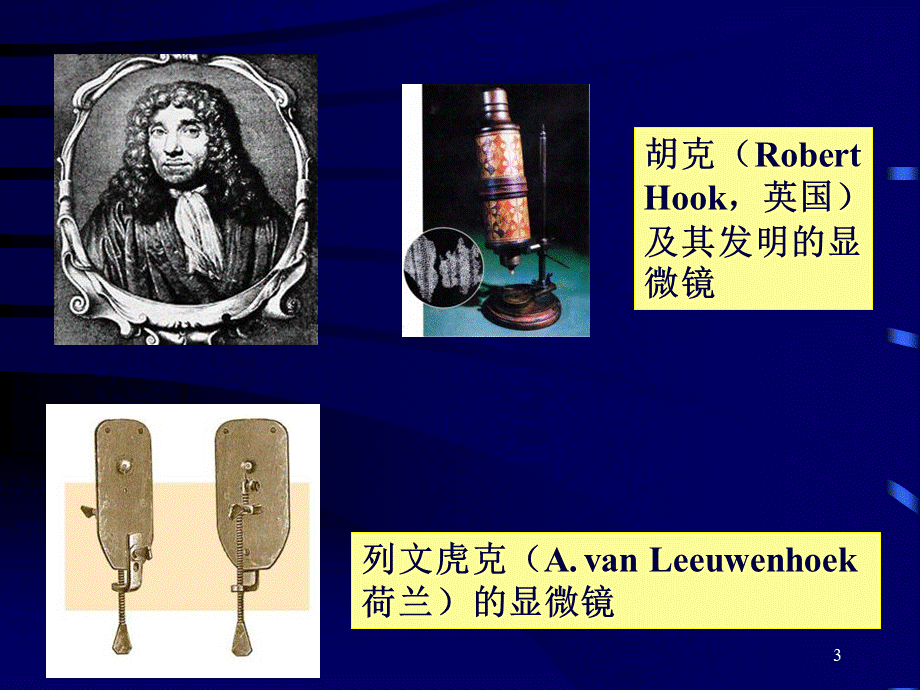 生命的化学基础 (1).ppt_第3页