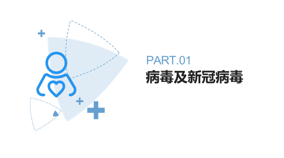 新冠病毒及新冠肺炎.pptx_第2页