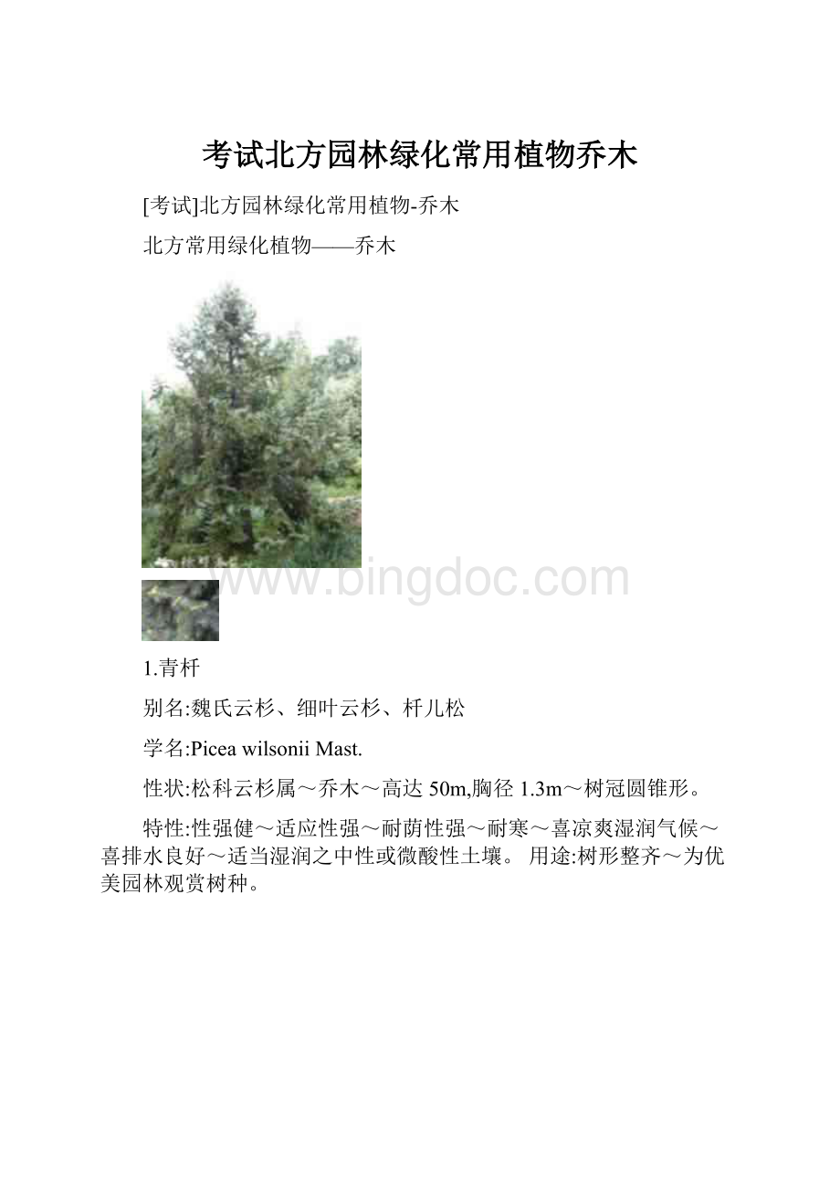 考试北方园林绿化常用植物乔木.docx