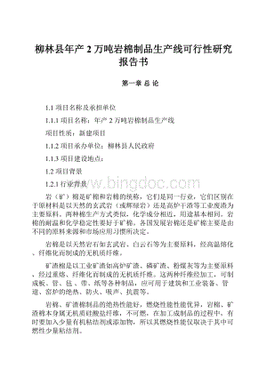 柳林县年产2万吨岩棉制品生产线可行性研究报告书.docx